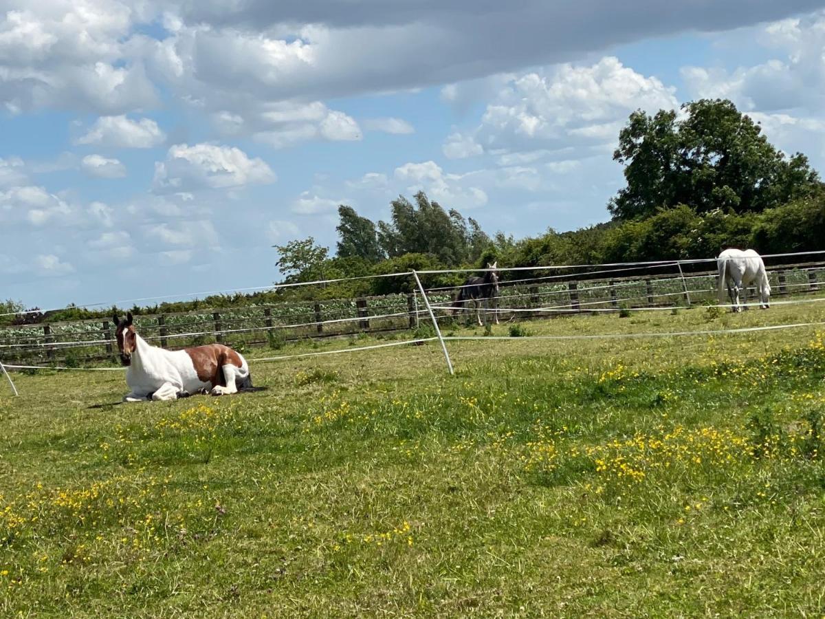 Eakley Manor Farm Glamping * Newport Pagnell